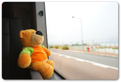 Teddy image symbolizing child-relocation