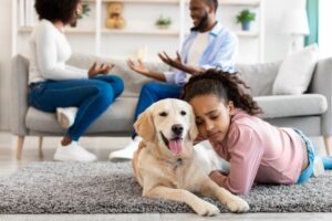What happens to pets when you separate from your partner?